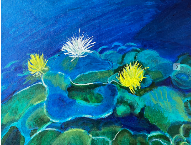 Disc Corals by artist Rosalinda Peña
